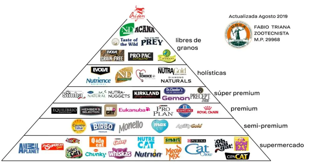 piramide-alimentos-gatos-1024x546.jpg.webp