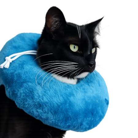 Dona para gatos (cuello isabelino)